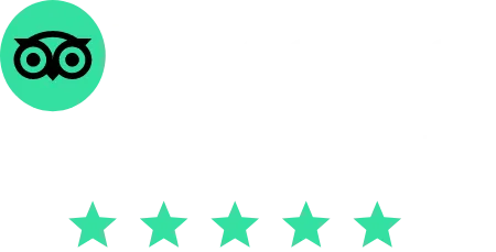 tripadvisor